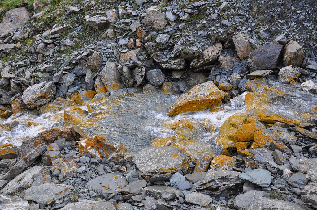 DSC_0666.JPG