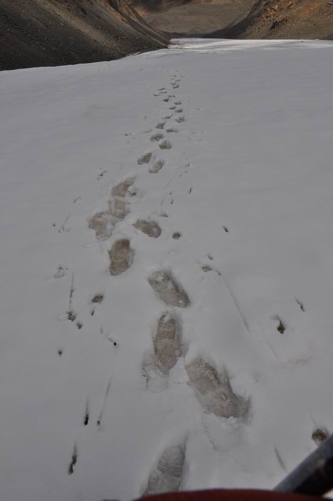 DSC_0709.JPG