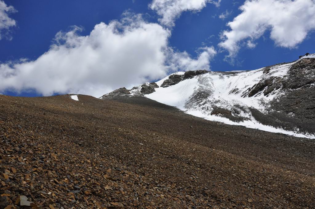 DSC_0730.JPG
