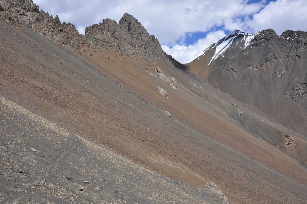 DSC_0737.JPG