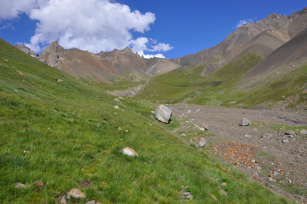 DSC_0764.JPG