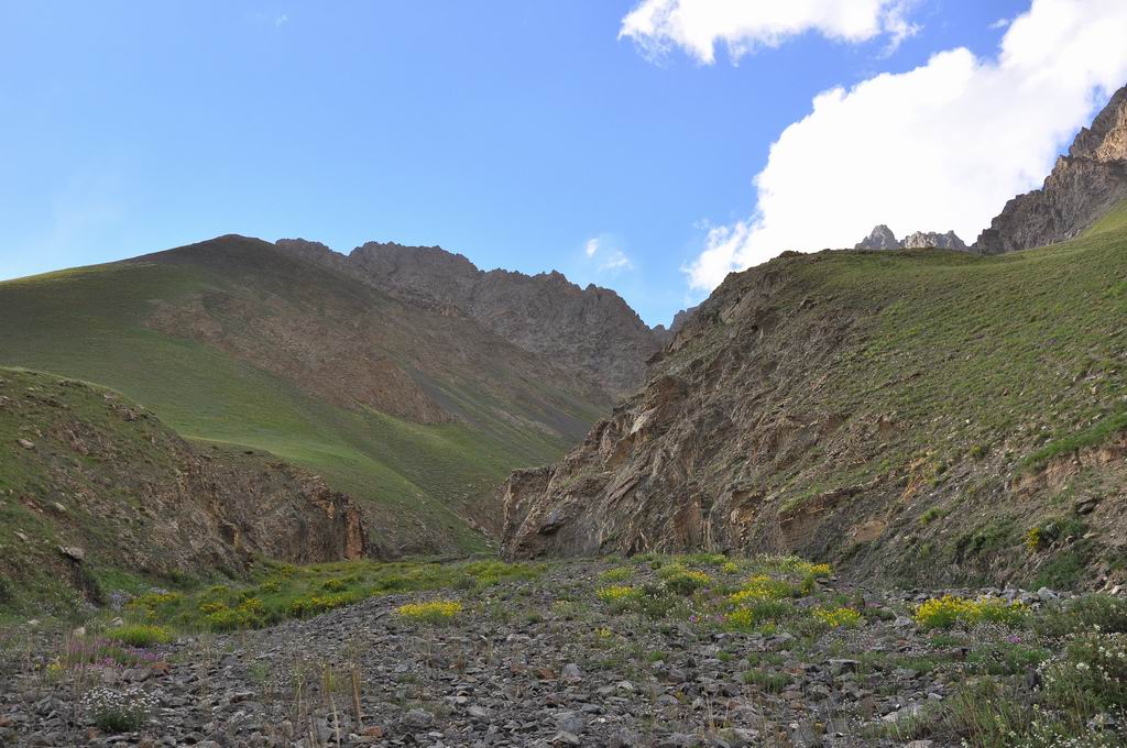 DSC_0788.JPG