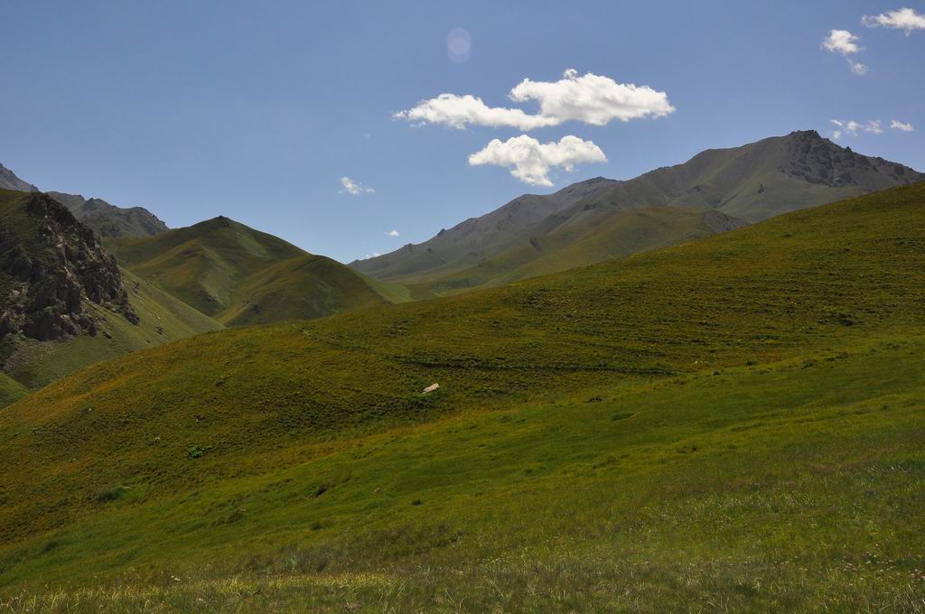 DSC_0842.JPG