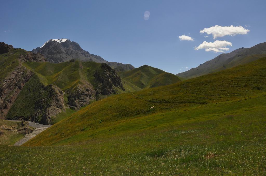 DSC_0846.JPG