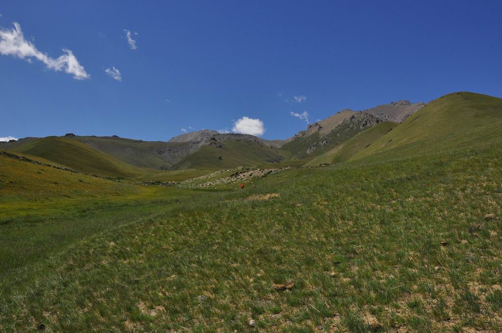 DSC_0853.JPG