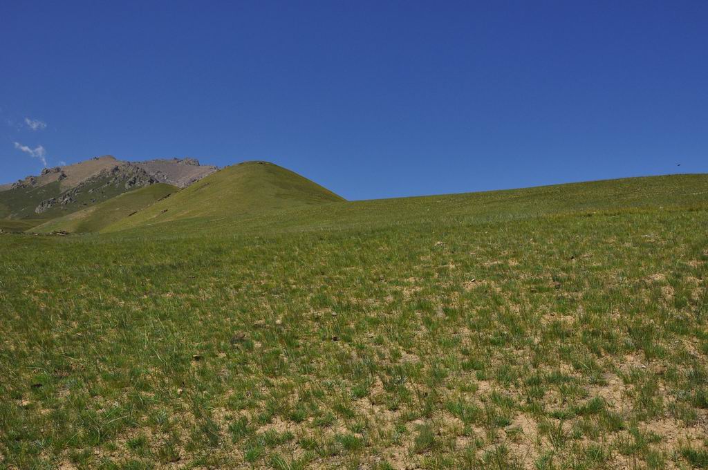 DSC_0854.JPG