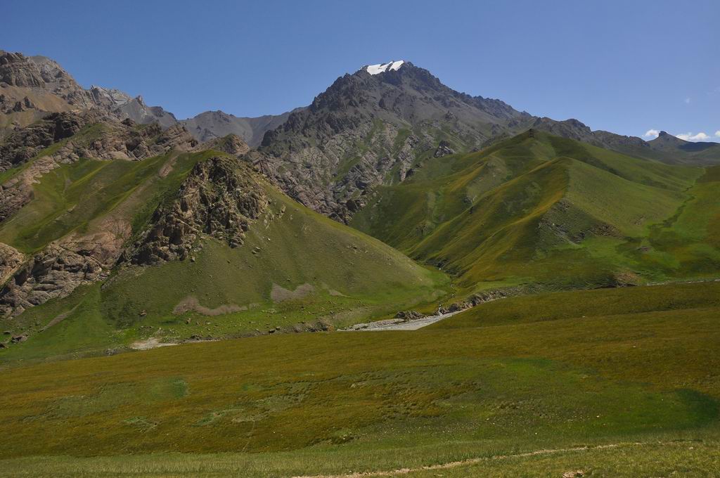 DSC_0869.JPG