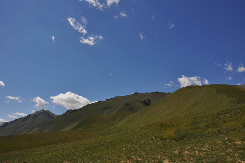 DSC_0870.JPG