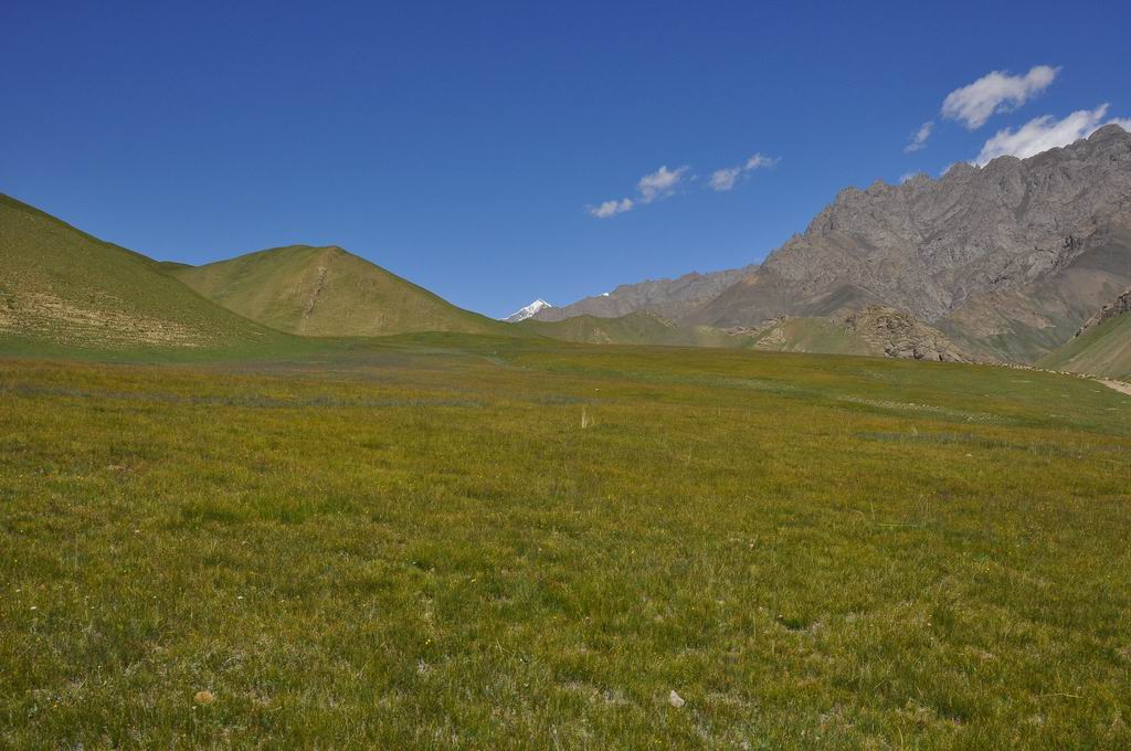 DSC_0871.JPG