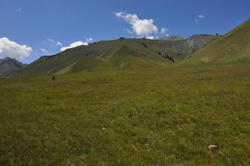 DSC_0874.JPG