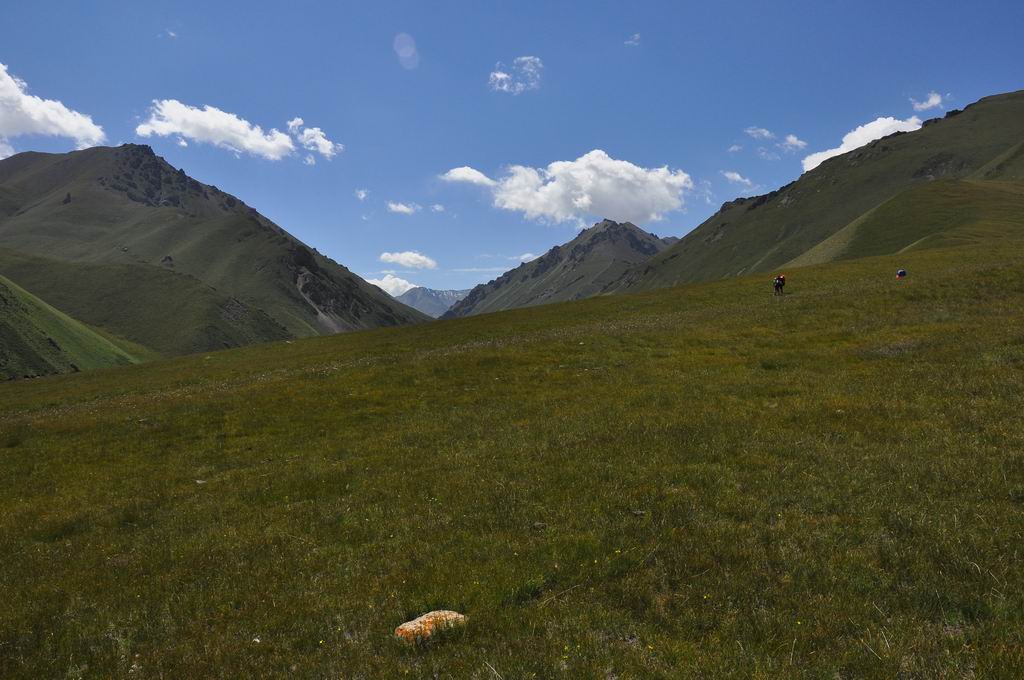 DSC_0873.JPG