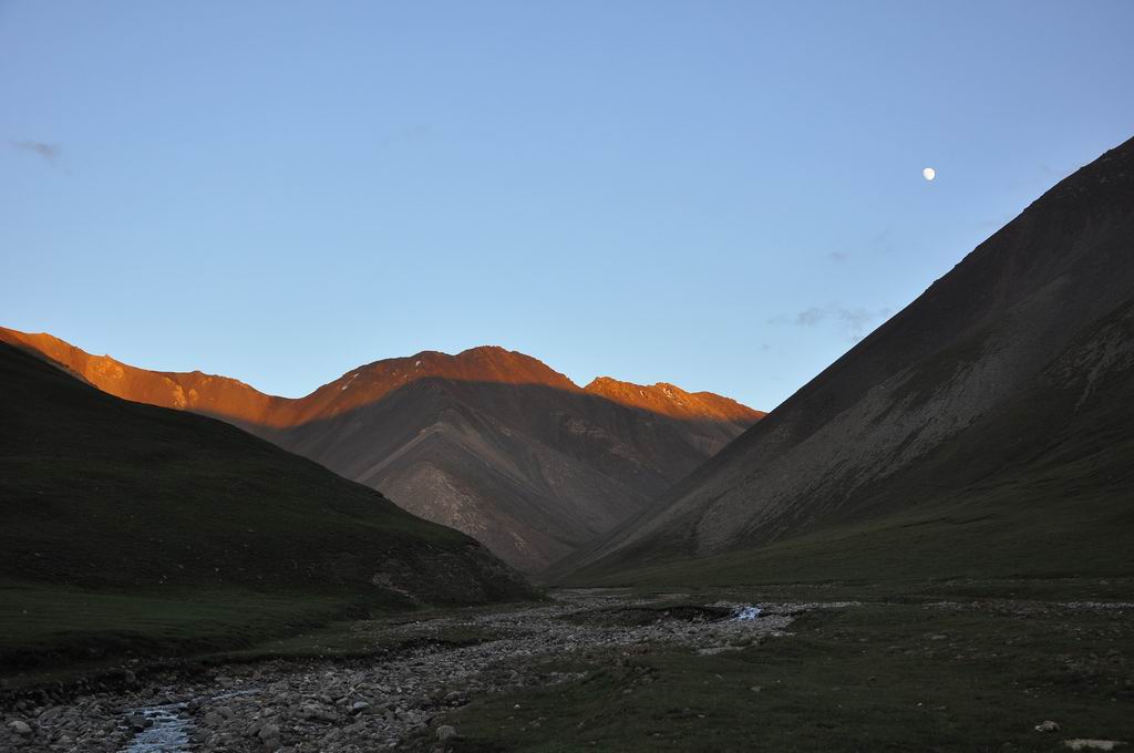 DSC_0918.JPG