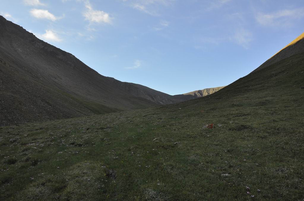 DSC_0929.JPG