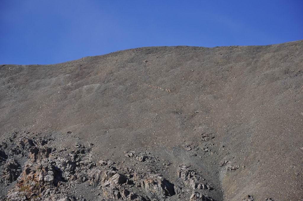 DSC_0938.JPG