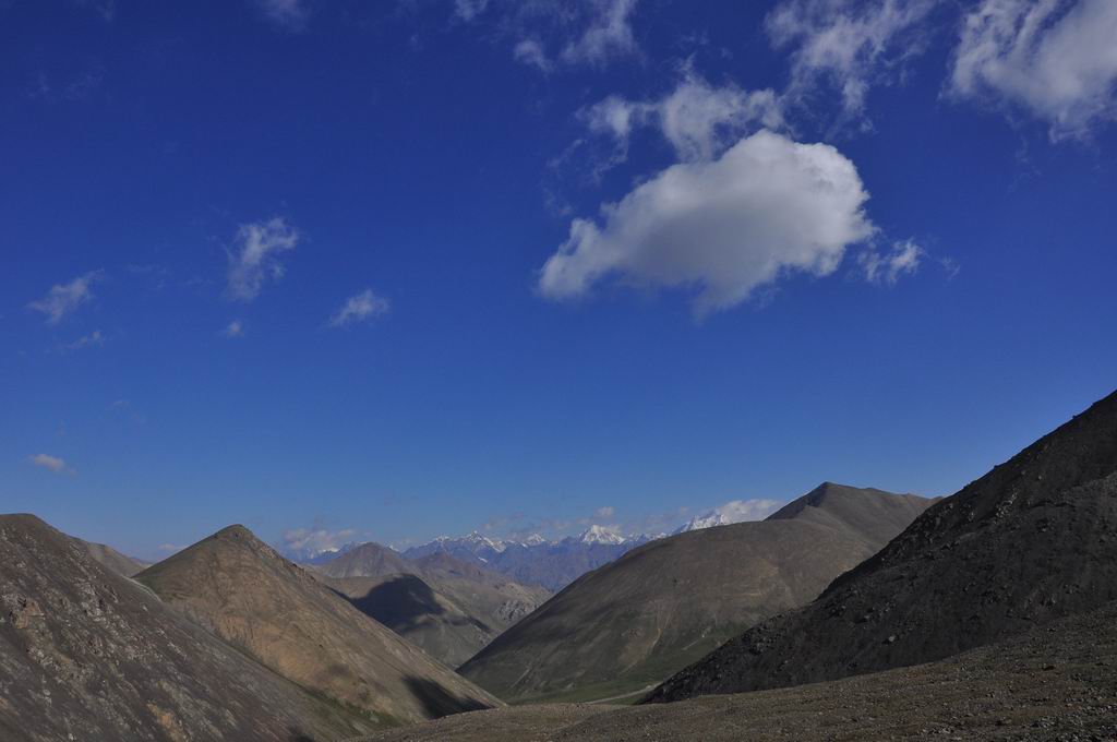 DSC_0947.JPG