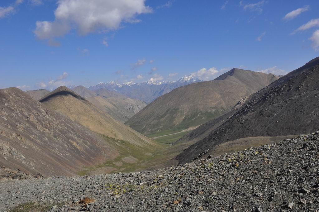 DSC_0964.JPG