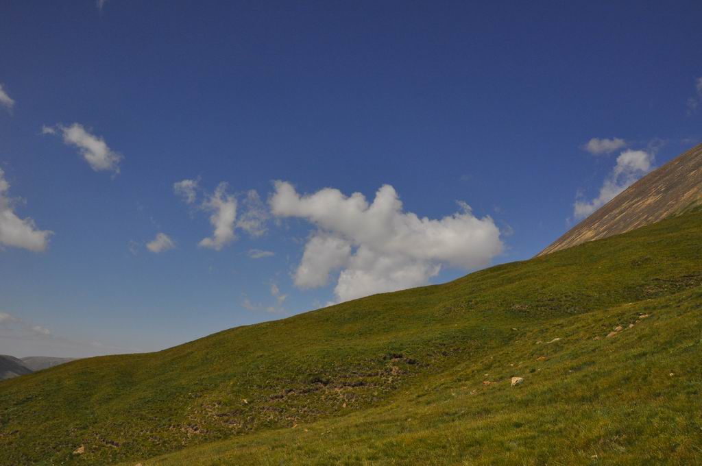 DSC_0969.JPG
