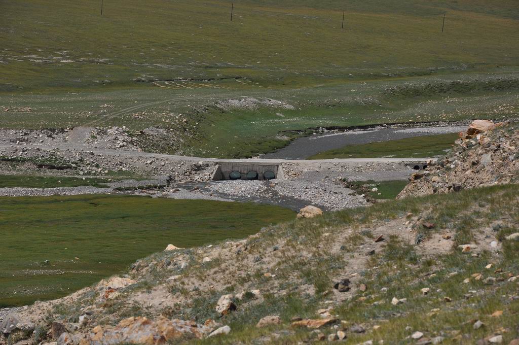 DSC_0973.JPG