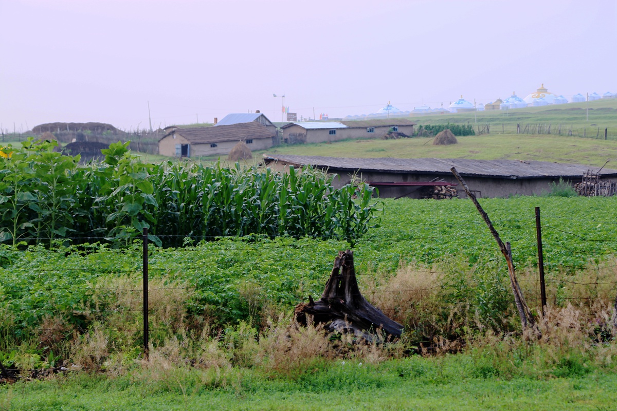 IMG_1499_副本.jpg