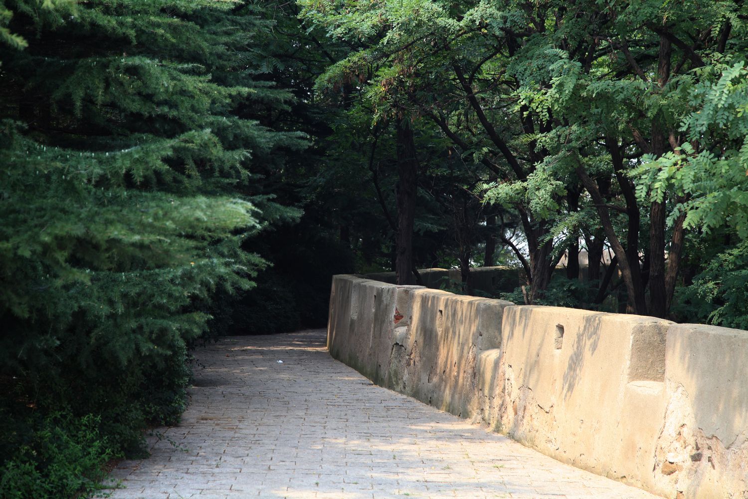 西炮台，南山 097.jpg