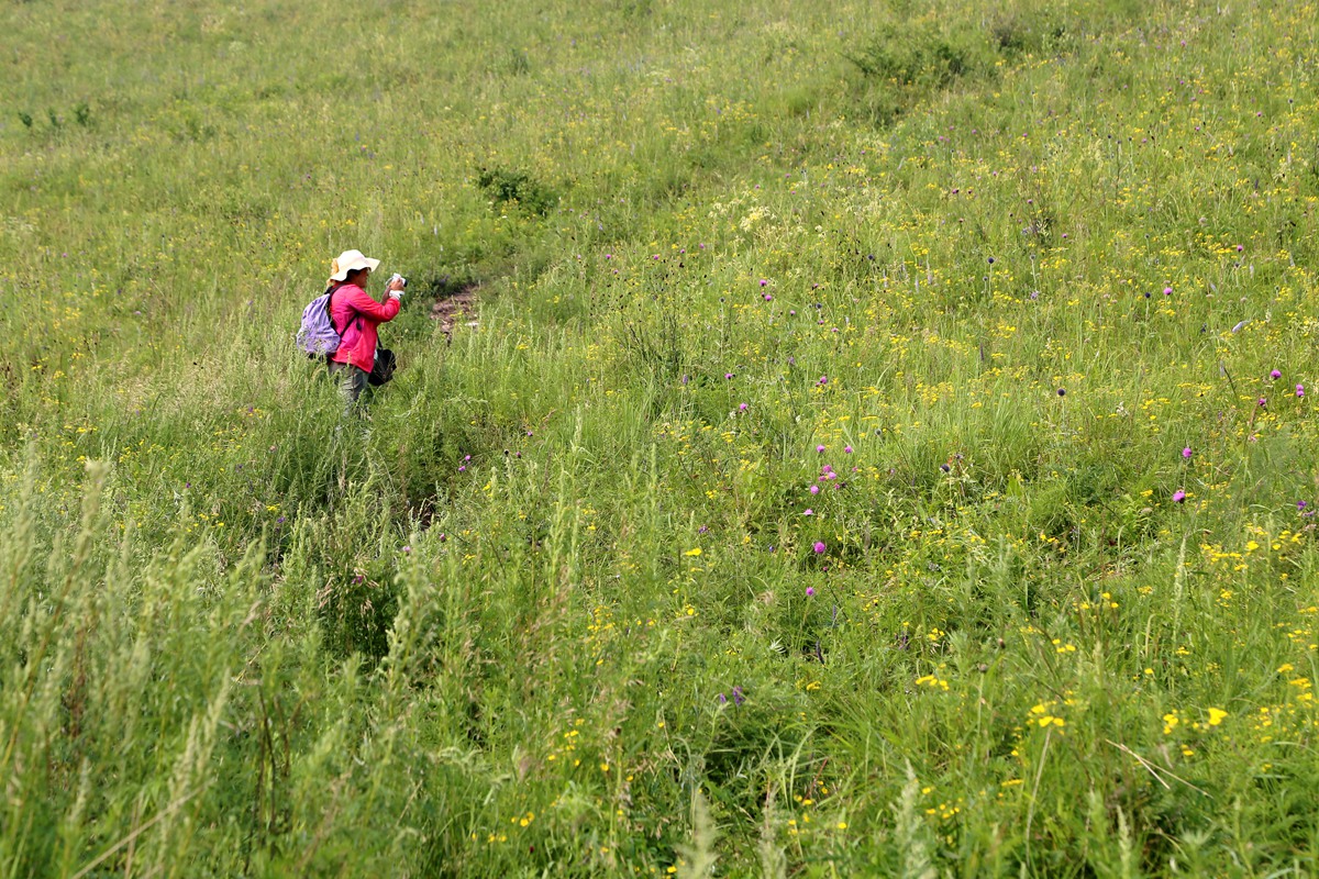 IMG_1729_副本.jpg