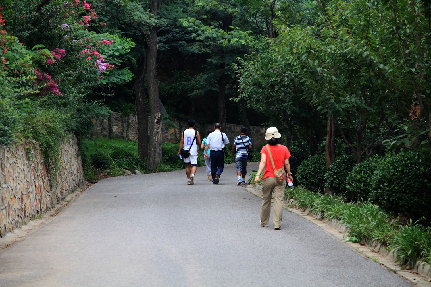 西炮台，南山 168.jpg