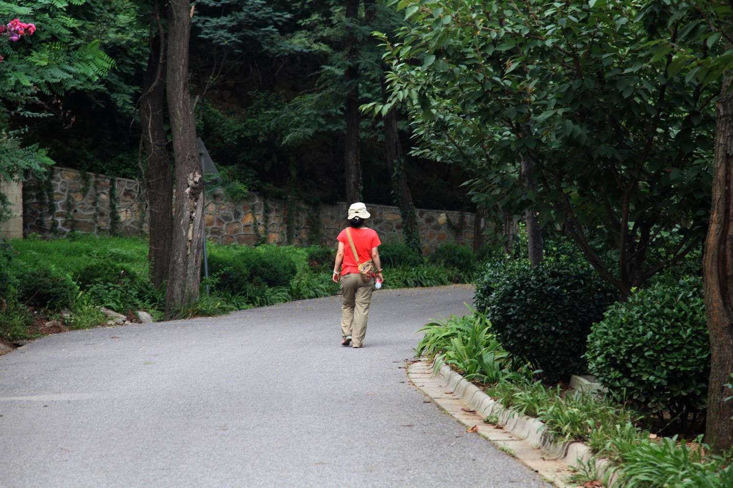 西炮台，南山 169.jpg