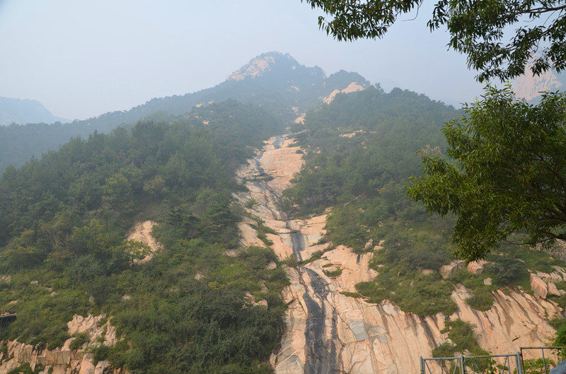 DSC_0096_副本.jpg