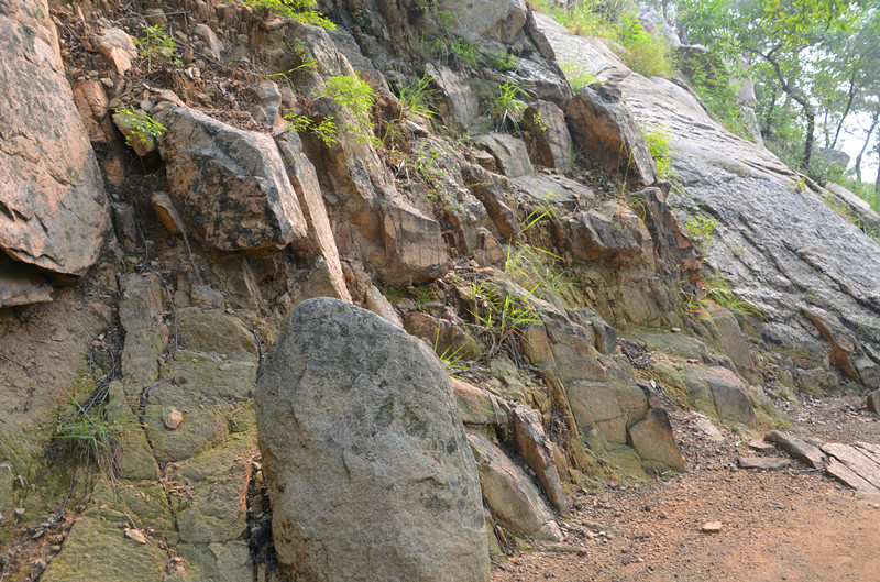 DSC_0073_副本.jpg
