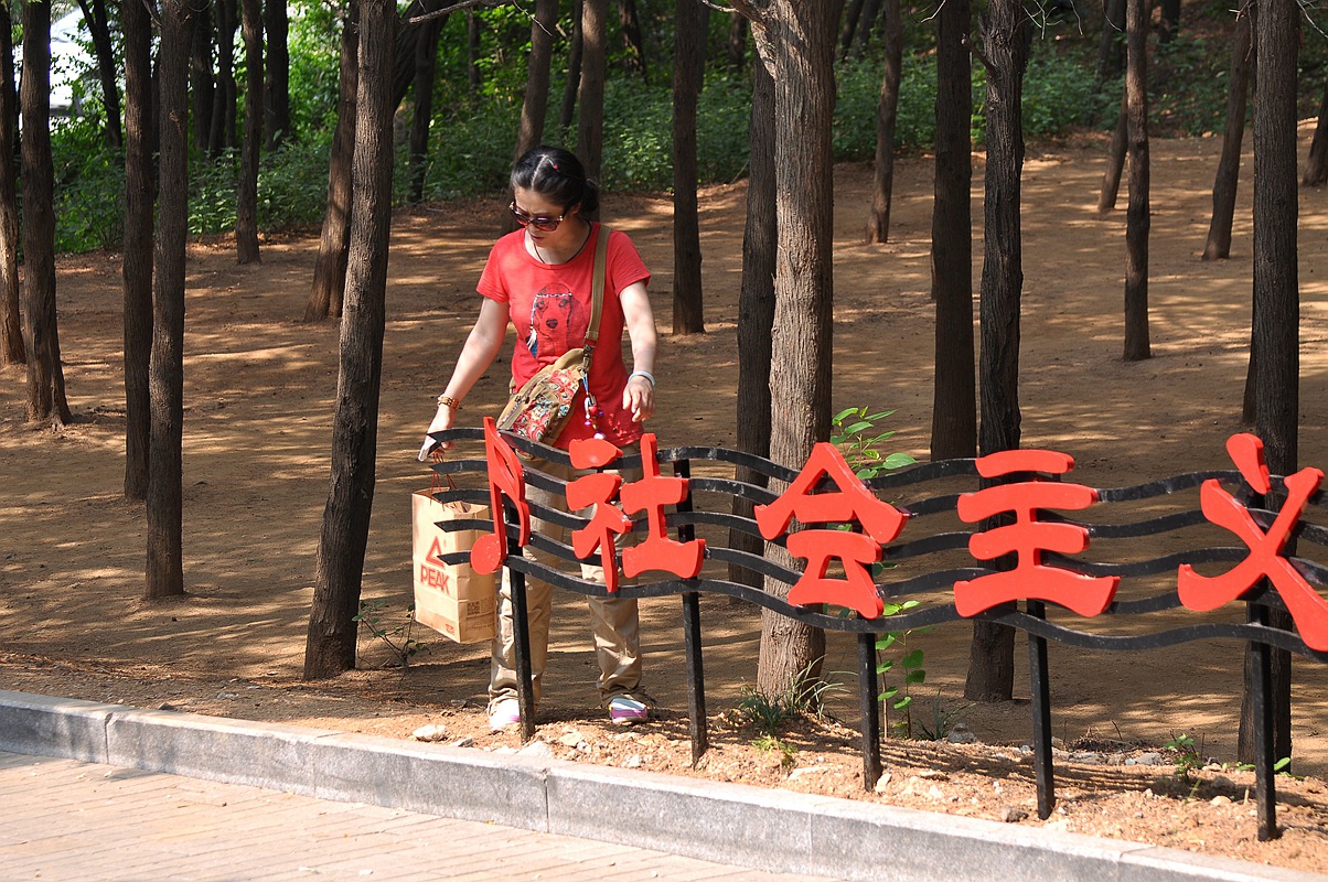 西山炮台拍花 034_副本.jpg