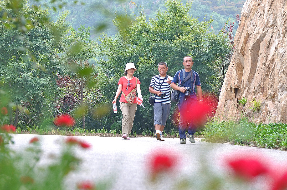 西山炮台拍花 112_副本.jpg