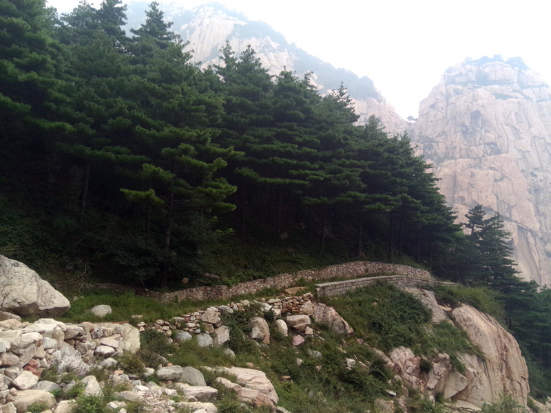 IMG20140830105627_副本.jpg