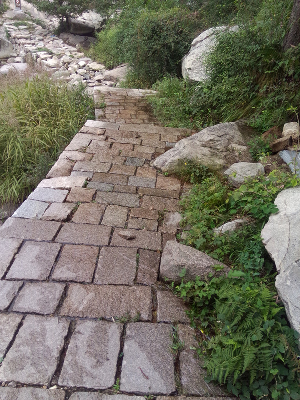 IMG20140830115348_副本.jpg