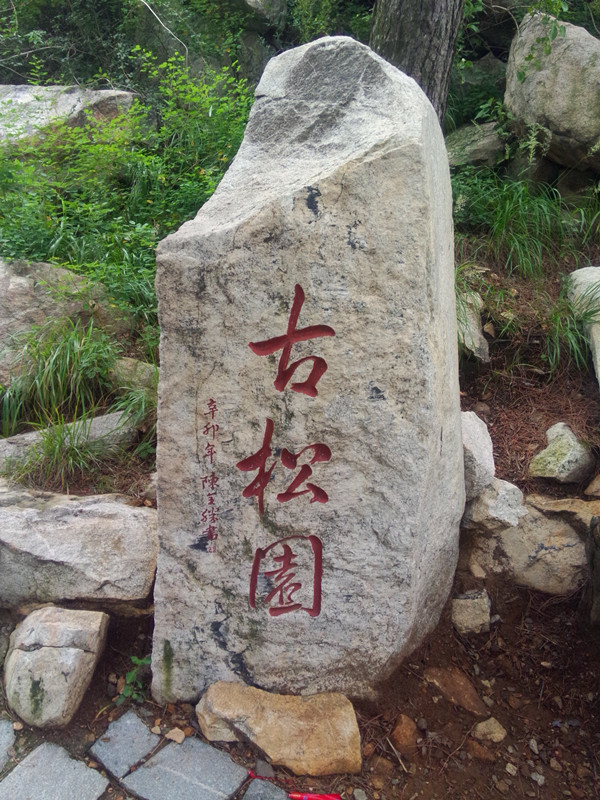 IMG20140830124358_副本.jpg