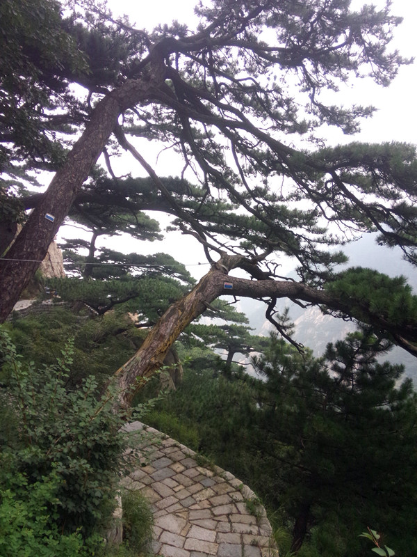 IMG20140830124833_副本.jpg