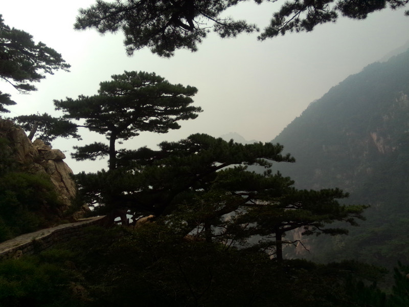 IMG20140830124736_副本.jpg
