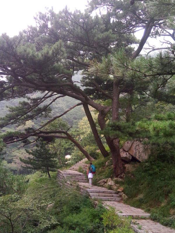 IMG20140830124632_副本.jpg
