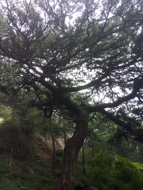 IMG20140830125249_副本.jpg