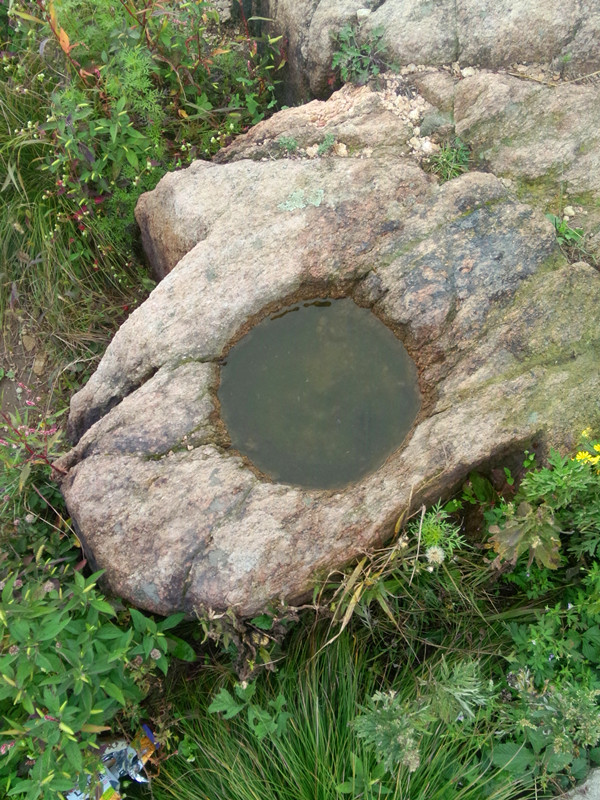 IMG20140830140203_副本.jpg