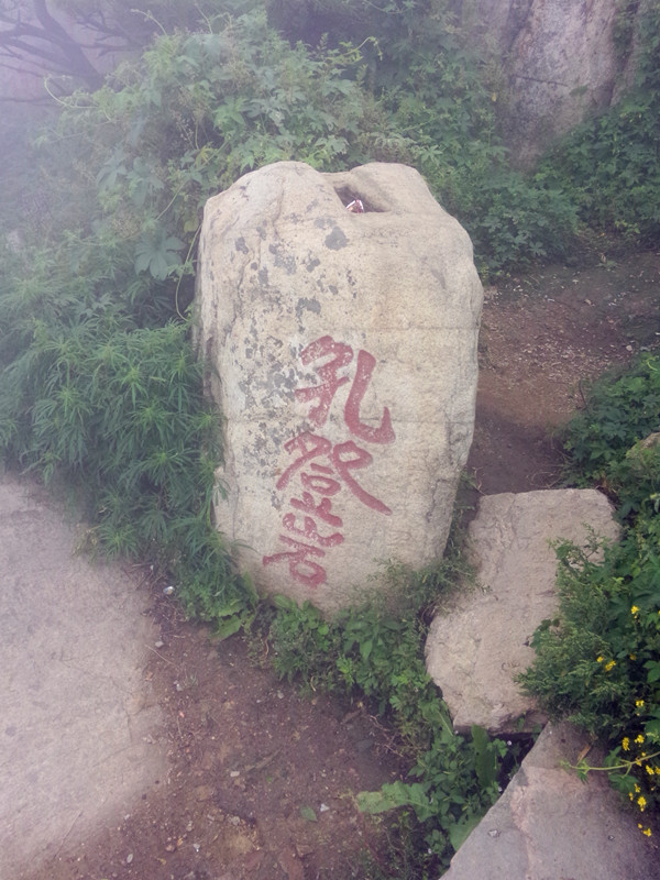 IMG20140830144851_副本.jpg