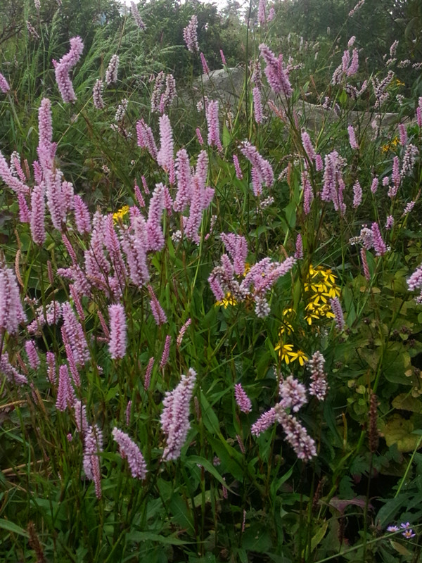 IMG20140830135150_副本.jpg