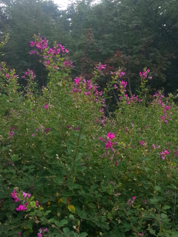IMG20140830135432_副本.jpg
