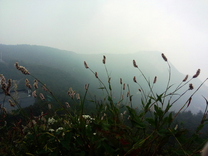 IMG20140830150413_副本.jpg