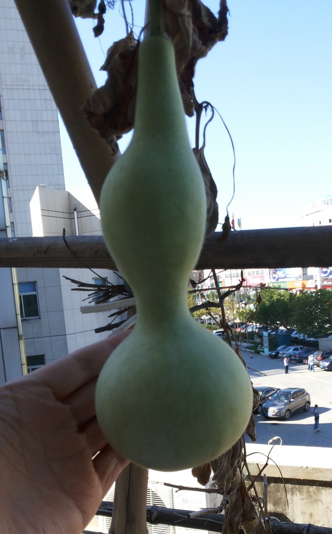 20140904_090139_conew1.jpg