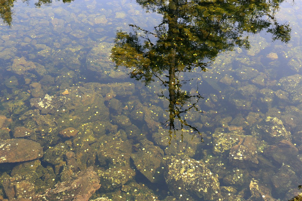 IMG_2128_副本.jpg