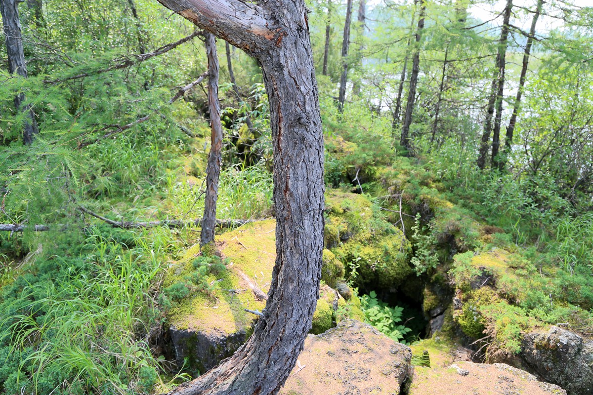 IMG_2162_副本.jpg