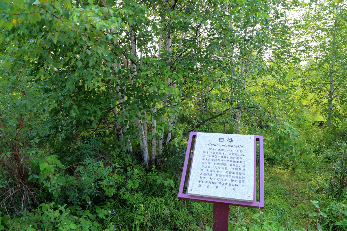 IMG_2212_副本.jpg