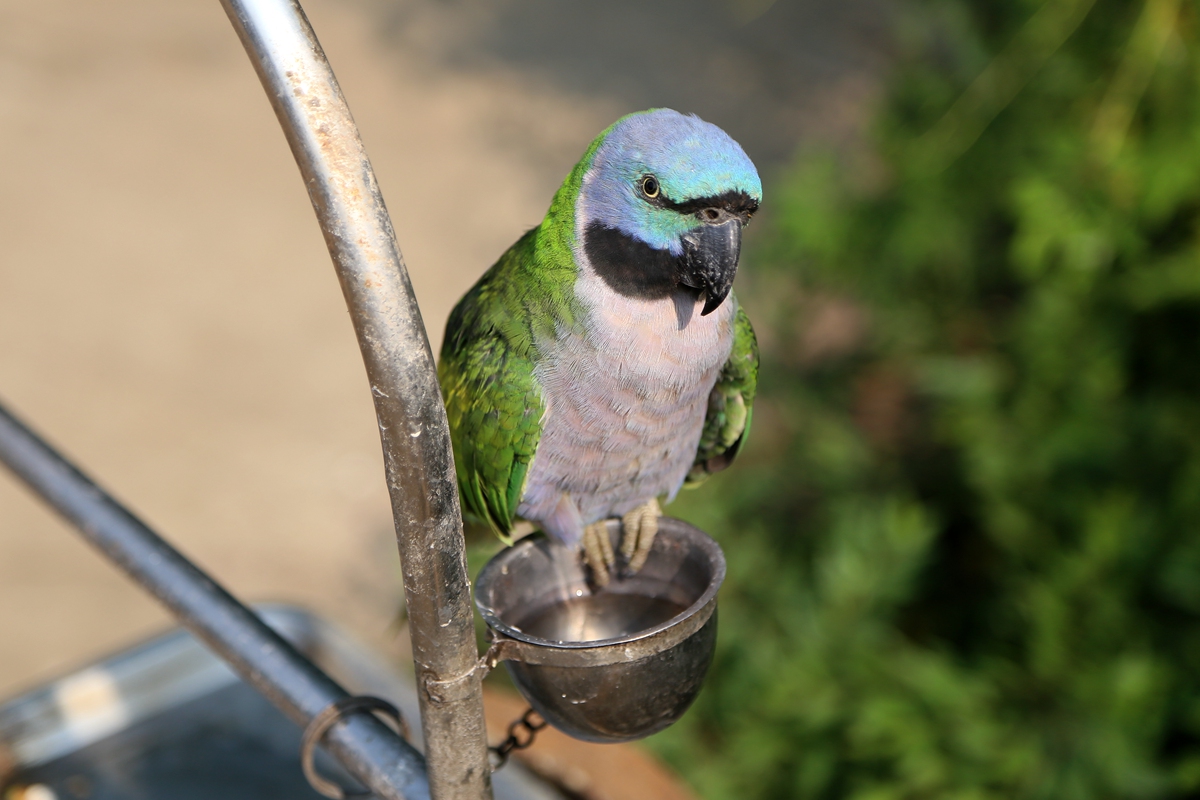 IMG_2238_副本.jpg