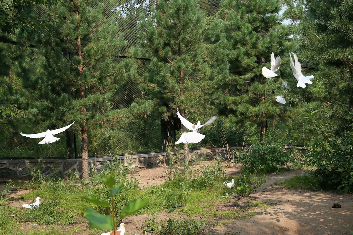 IMG_2283_副本.jpg