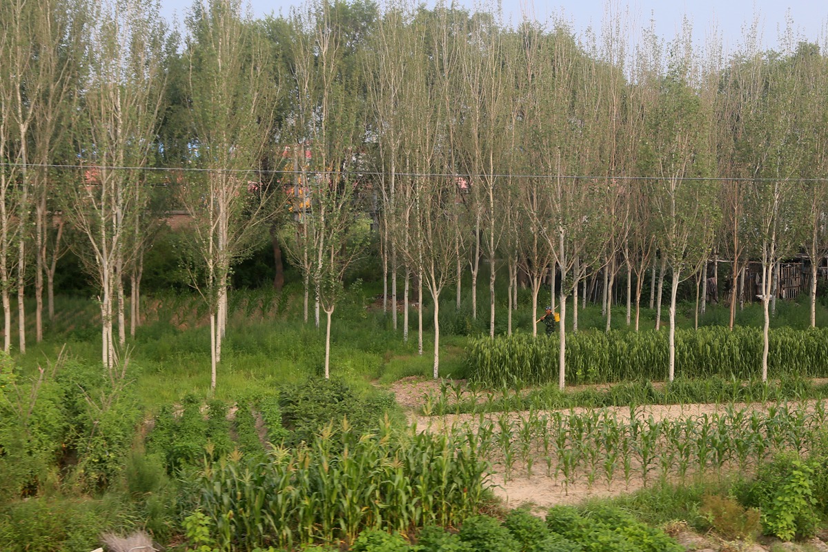 IMG_0085_副本.jpg